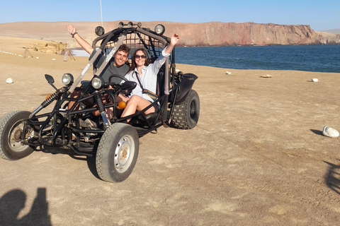 Paracas: Golden Shadows Experience on ATV / Minibuggy Paracas: Golden Shadows Experience on an ATV / Minibuggy