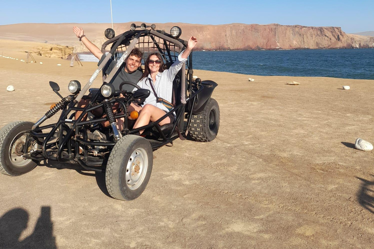 Paracas: Golden Shadows Experience on ATV / Minibuggy Paracas: Golden Shadows Experience on an ATV / Minibuggy