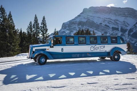 Banff: Vintage Car Open-Top Tour