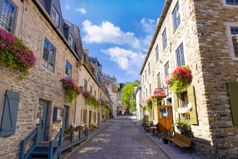 Montreal Science Centre & Notre-Dame Basilica Private Tour 4-hour: Montreal Science Centre & Notre Dame Tour (No Car)