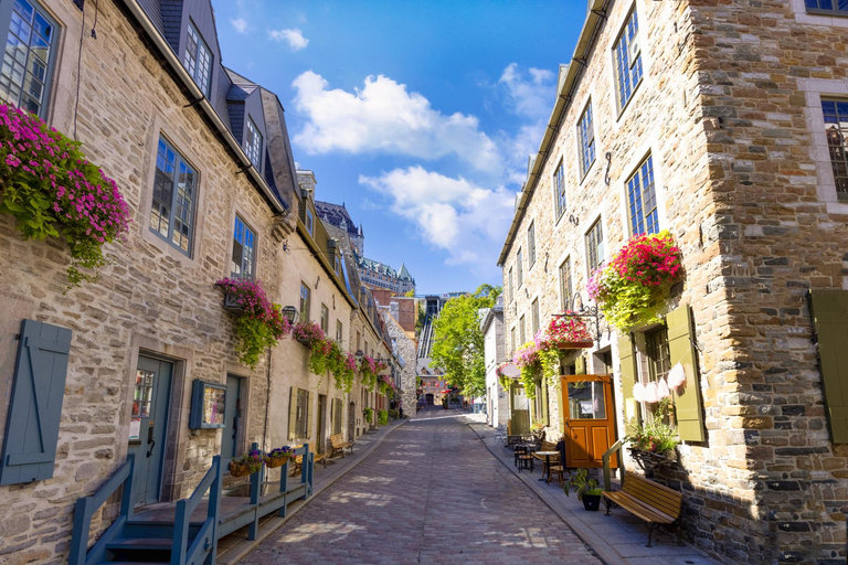 Montreal Science Centre & Notre-Dame Basilica Private Tour 4-hour: Montreal Science Centre & Notre Dame Tour (No Car)