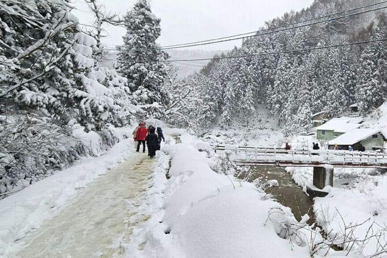 Tokyo: Nagano Day Trip with Snow Monkey Park & Temple.