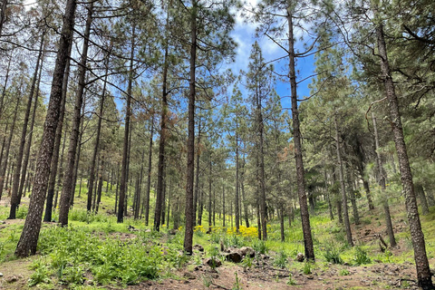 Gran Canaria: excursion to the Ventana del Nublo