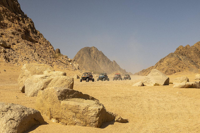 Sharm El Sheikh: excursión en quad y safari por el desierto con servicio de recogida