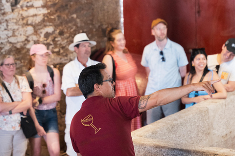 Porto: Douro Valley Day Trip with Wine Tasting & Cruise Spanish - With boat included