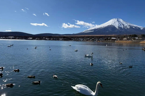 Tokyo: Private Mt. Fuji Luxury Day Tour – Fully Customizable Luxury Land Cruise Customizable Tour