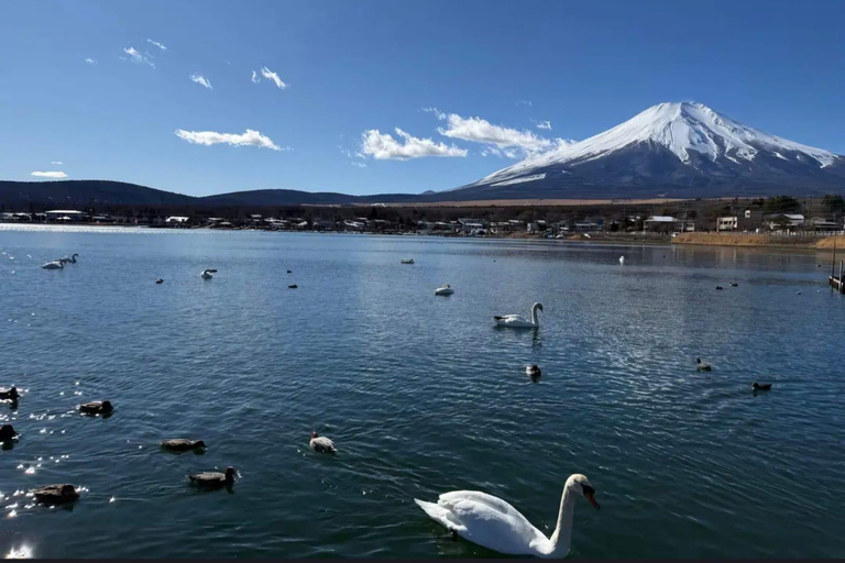 Tokyo: Private Mt. Fuji Luxury Day Tour – Fully Customizable Luxury Land Cruise Customizable Tour