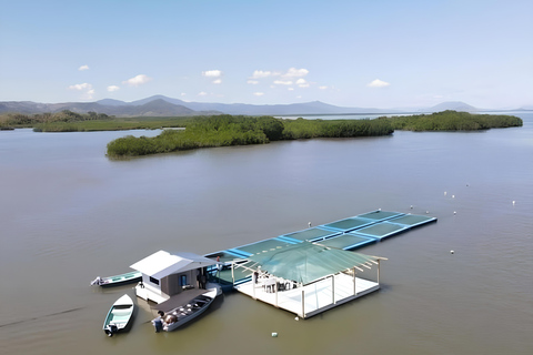 Seafood Gastronomic Tour to the Floating Restaurant of Puntarenas by boat