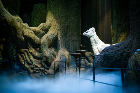 London: Warner Bros. Studio Tour & Round-trip Train Ticket