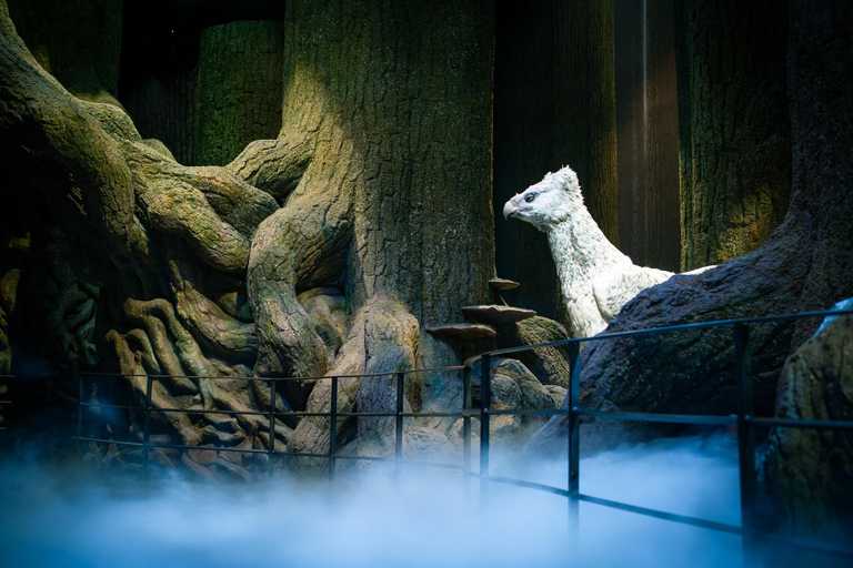 London: Warner Bros. Studio Tour & Round-trip Train Ticket