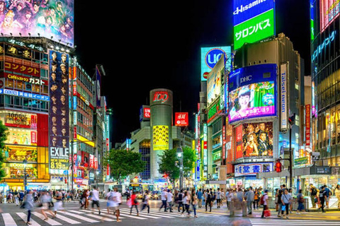 Tokyo : Visite d&#039;une jounée privée avec chauffeur parlant anglaisTokyo : Visite d&#039;une jounée privée avec chauffeur anglophone