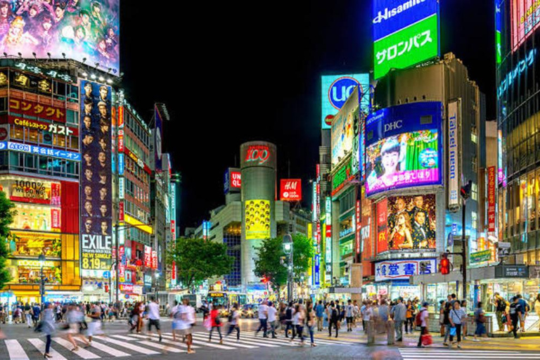 Tokio: Dagvullende tour met Engelssprekende chauffeur