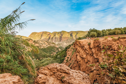 From Marrakech: Ouzoud Waterfalls Guided Hike and Boat Trip Private Tour in French