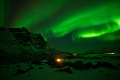 Tromsø: Noorderlicht Tour met Lokale gids &amp; Lokaal eten