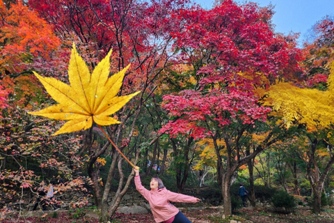Seoul: Naejangsan National Park Autumn Foliage One Day Tour Shared Tour, Meet at Dongdaemun