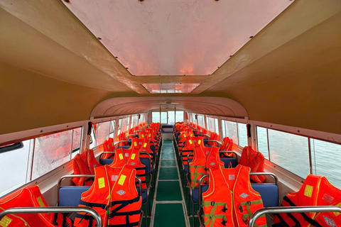 Da Nang/Hoi An: Cham Island Snorkeling or Diving Tour Group Tour