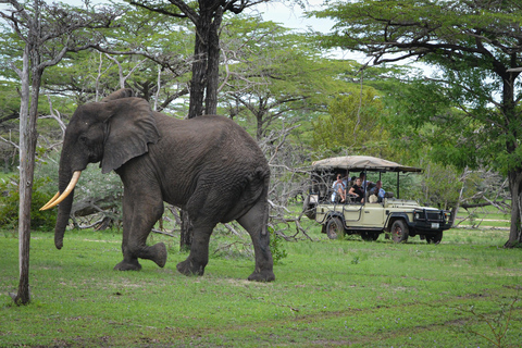 Zanzibar: The 2 Days & 3 Safari Nyerere National park/Selous Nyerere National park/Selous: The perfect 2 Days 3 Safari