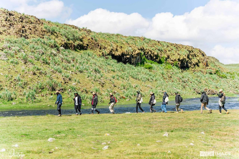 Bale Mountains: 3-tägige geführte Wanderung mit Wildtieren und Camping