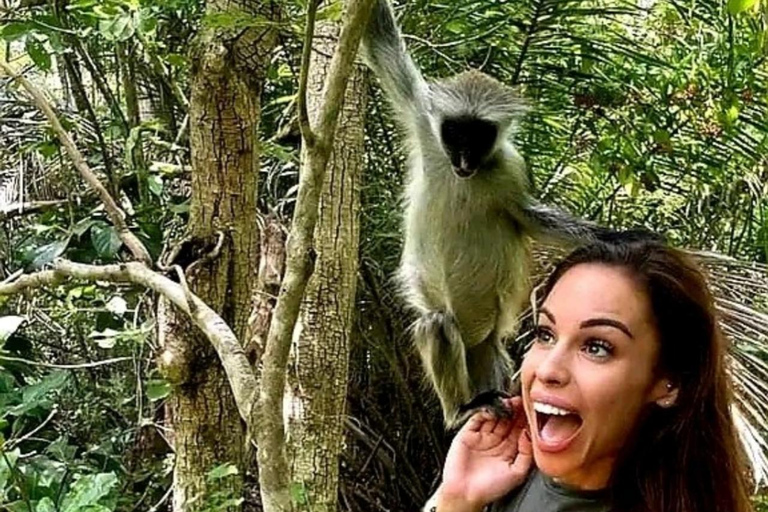 Zanzibar: Jozani Forest & Salaam Cave Sea Turtles Swim Tour Option Without Hotel Transfers