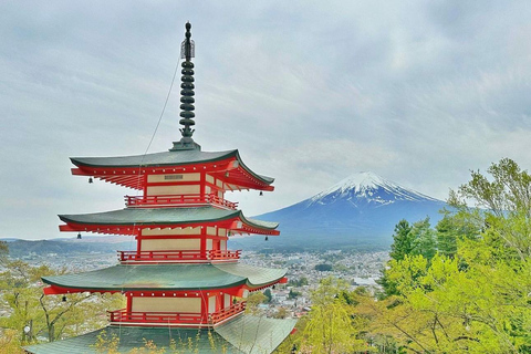 Da Tokyo: Monte Fuji Tour di un giorno personalizzato privatoTour privato del Monte Fuji completo e personalizzato con servizio di prelievo in hotel