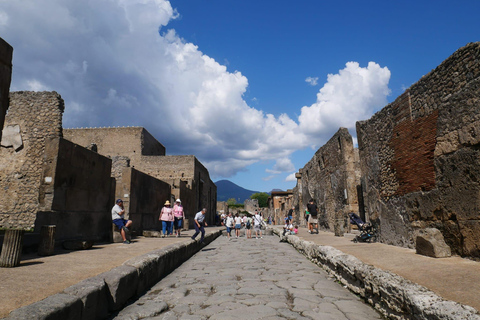 Naples: Pompeii, Mt.Vesuvius and Wine Tasting: – Deluxe Tour VIP Small Group Tour - Up to 8 pax - For Cruise Passengers