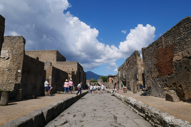 Naples: Pompeii, Mt.Vesuvius and Wine Tasting: – Deluxe Tour VIP Small Group Tour - Up to 8 pax - For Cruise Passengers