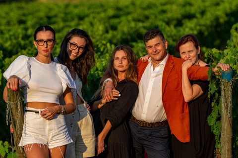 Soiana: tour dei vigneti e della cantina con degustazione di vini vicino a PisaInglese