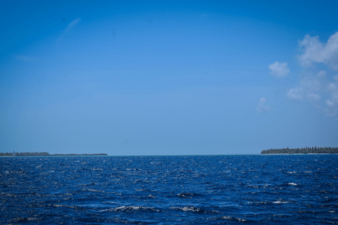 Punta Cana: Saona Island Cruise with Lunch & Open Bar Deluxe