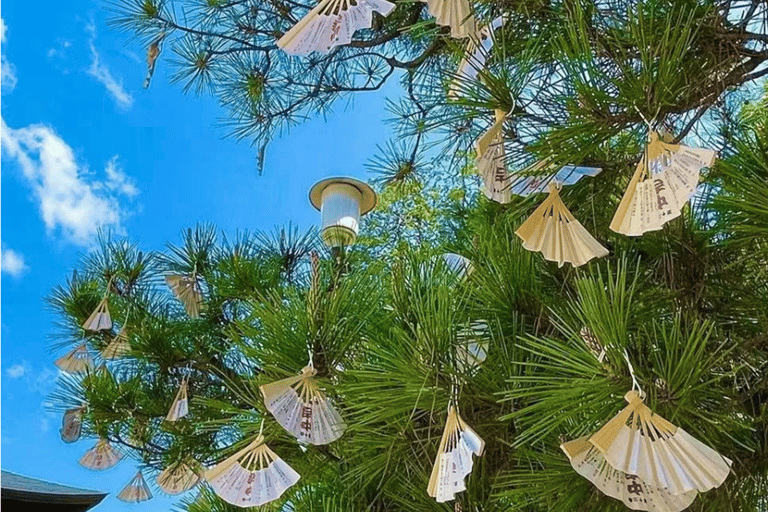 Kyoto: Miyama Village, Amanohashidate, and Ine Bay Day Trip