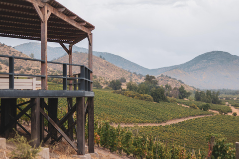 Santiago: El Principal Premium Winery in the Maipo Valley