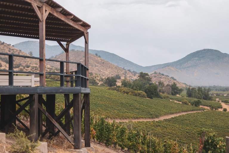 Santiago: El Principal Premium Winery in the Maipo Valley