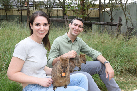 Sydney: Featherdale Wildlife Park Private Tour