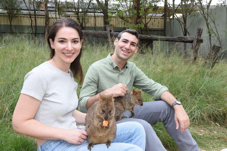 Sydney: Featherdale Wildlife Park Private Tour