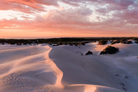 From Perth: Pinnacles, Sandboarding and Lobster Private Tour