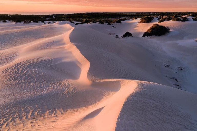 From Perth: Pinnacles, Sandboarding and Lobster Private Tour