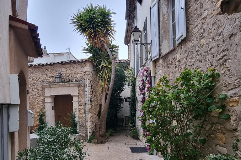 From Cannes: The most beautiful places to visit between city and nature The most beautiful places: Cannes, Théoule-sur-Mer, Esterel, Mougins