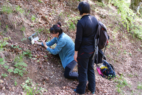 Poiana Brașov: setas silvestres y secretos del bosque