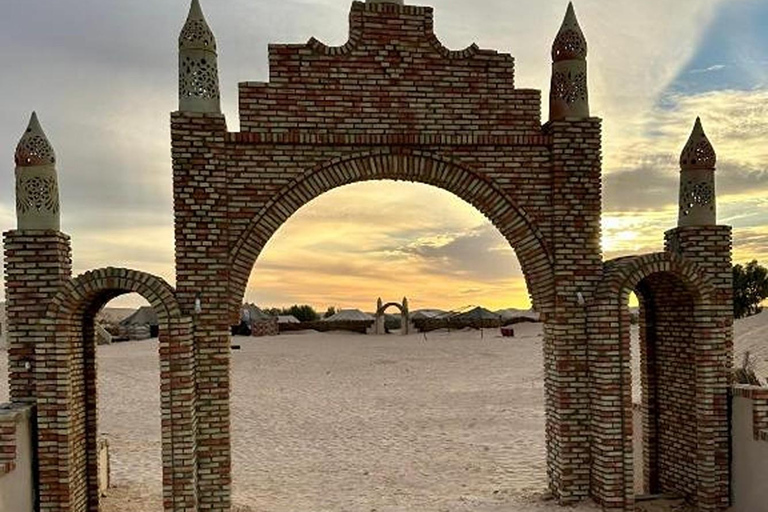 From Tunis, Hammamet, Sousse: Sahara Camping Sunset & oasis From Hammamet