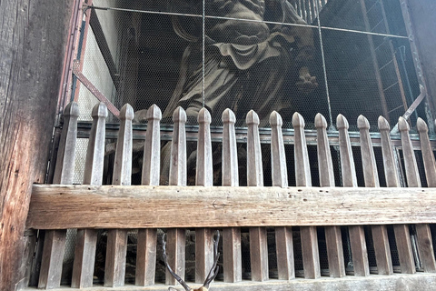 Nara: tour con ciervos, el Gran Buda y demostración de mochi