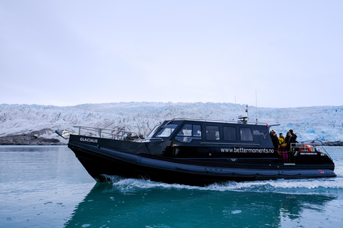 Tromsø: Orca and Whale Watching Heated Boat Trip Tromsø: Orca and Whale Watching comfort heated boat Trip