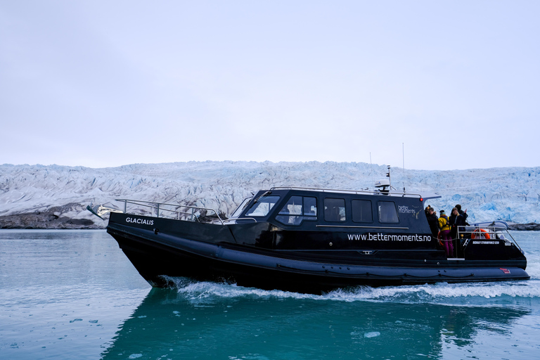 Tromsø: Orca and Whale Watching Heated Boat Trip Tromsø: Orca and Whale Watching comfort heated boat Trip