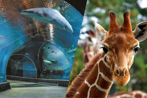 From Kraków: Private Tour to Wrocław with a personal driver