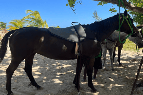 ATV, Bamboo Rafting & Horseback Ride Tour From Montego Bay ATV, Bamboo Rafting & Horseback Ride Combo