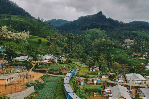 Nanu Oya: Scenic Train to Ella Reserved Seats with Transfers
