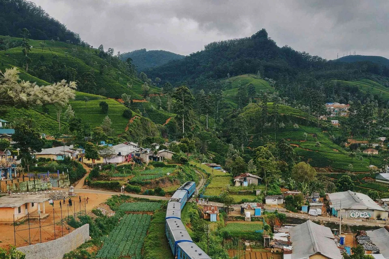 Nanu Oya: Scenic Train to Ella Reserved Seats with Transfers