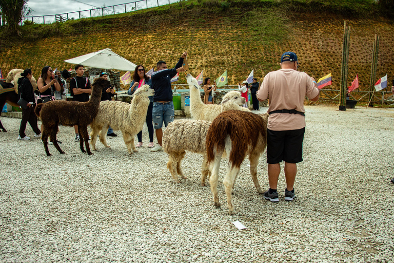 Guatapé Tour: Alto del Chocho Farm & Piedra del Peñol