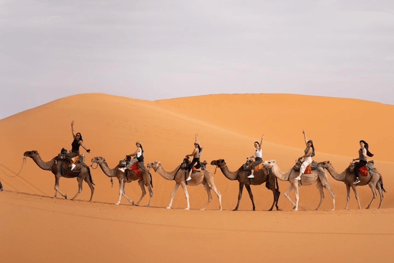 Da Agadir: tour del deserto di 3 giorni a MarrakechTour di lusso condiviso