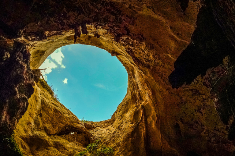 Krabi halvdagsutflykt ekotur Mangrove båttur &amp; Khanap Nam Cave