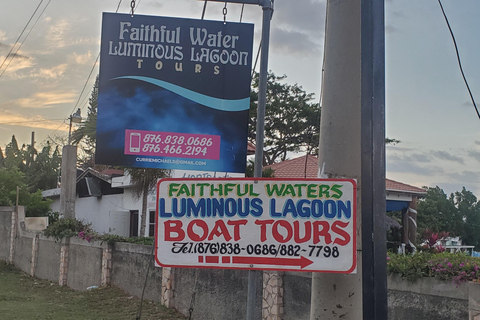 Falmouth: Luminous Lagoon Boat Tour Luminous Lagoon Boat Tour