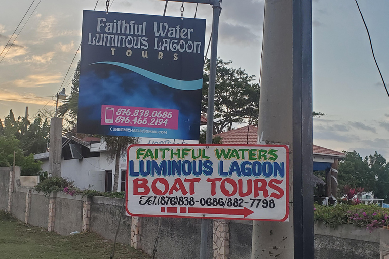 Falmouth: Luminous Lagoon Boat Tour Luminous Lagoon Boat Tour